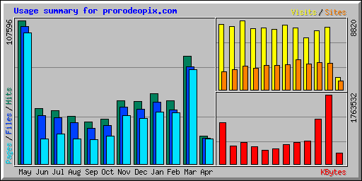 Usage summary for prorodeopix.com